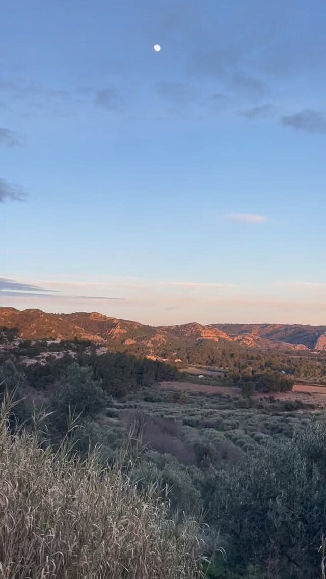 Instagram post from domainedelabarielle. This post is in position 0.