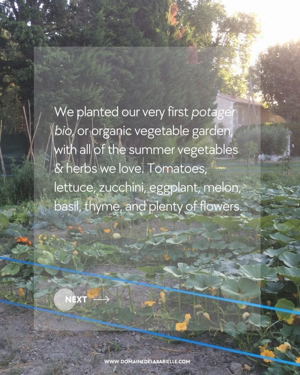 Instagram post from domainedelabarielle. This post is in position 6.