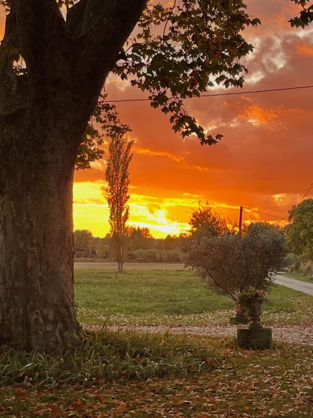 Instagram post from domainedelabarielle. This post is in position 6.