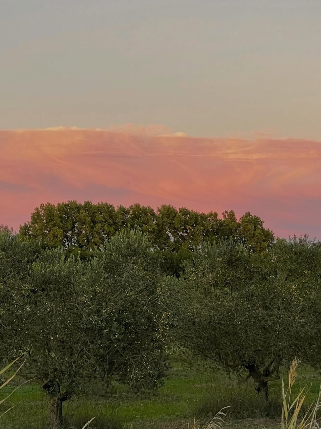 Instagram post from domainedelabarielle. This post is in position 1.