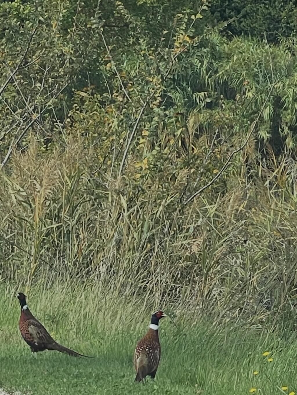 Instagram post from domainedelabarielle. This post is in position 8.