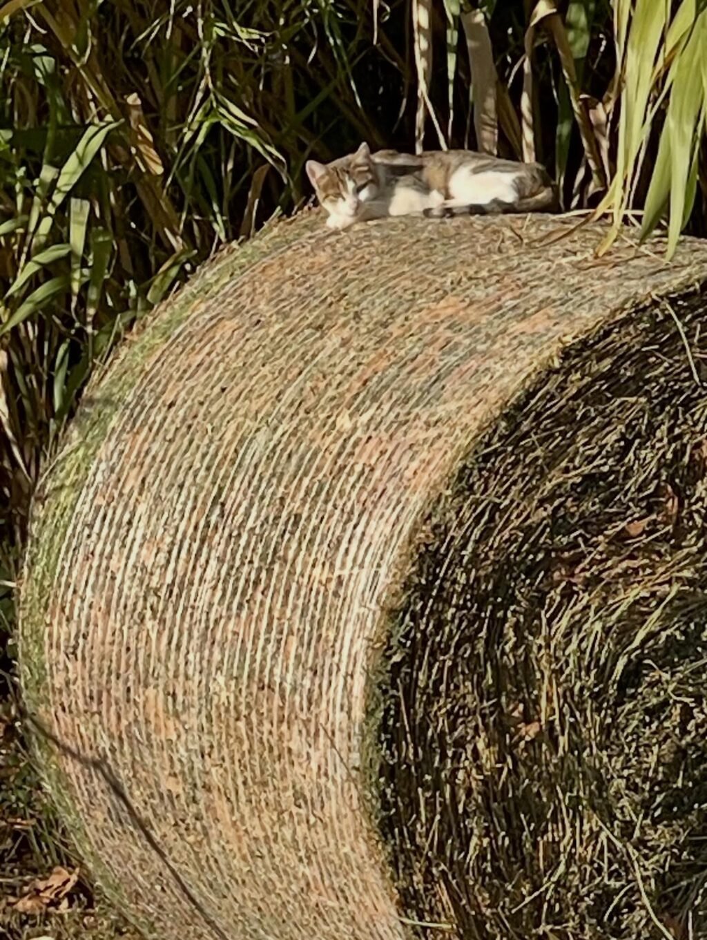 Instagram post from domainedelabarielle. This post is in position 5.