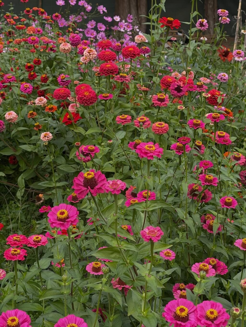 Instagram post from domainedelabarielle. This post is in position 7.