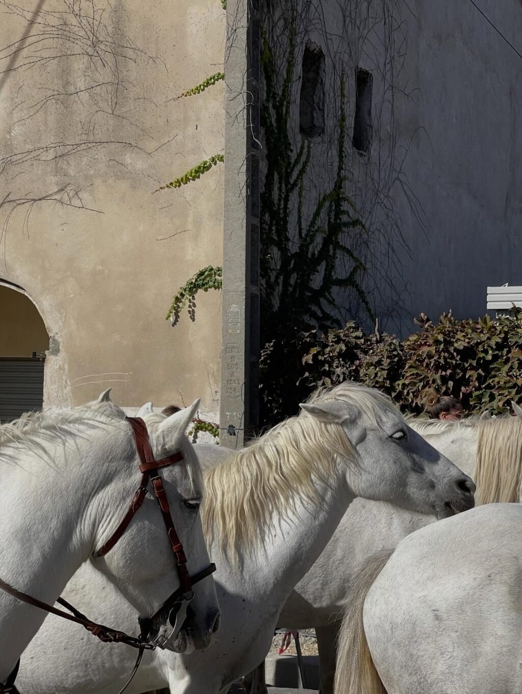 Instagram post from domainedelabarielle. This post is in position 9.