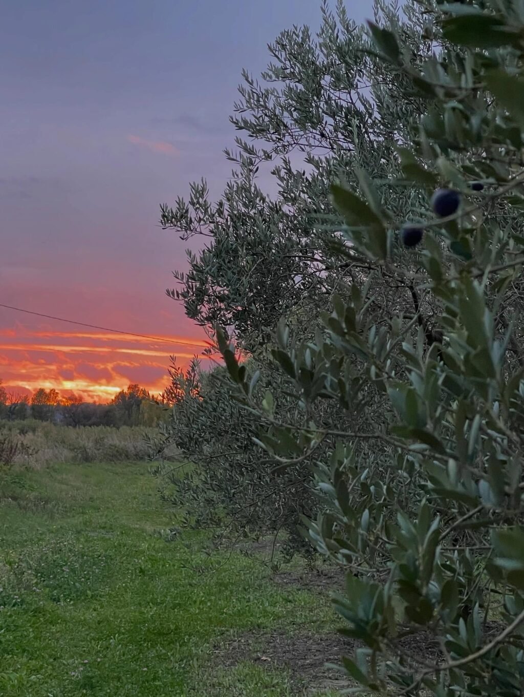 Instagram post from domainedelabarielle. This post is in position 3.