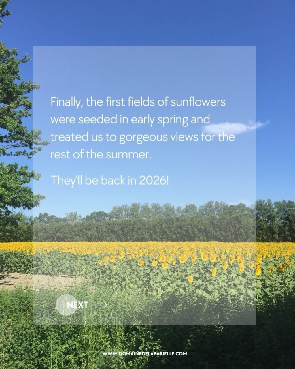 Instagram post from domainedelabarielle. This post is in position 15.