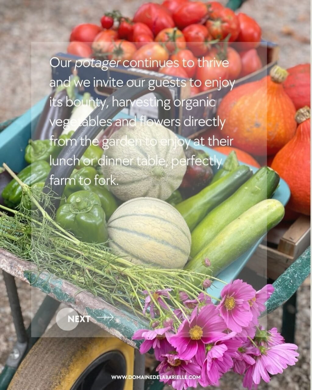 Instagram post from domainedelabarielle. This post is in position 7.