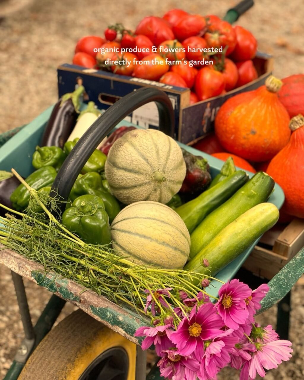 Instagram post from domainedelabarielle. This post is in position 6.